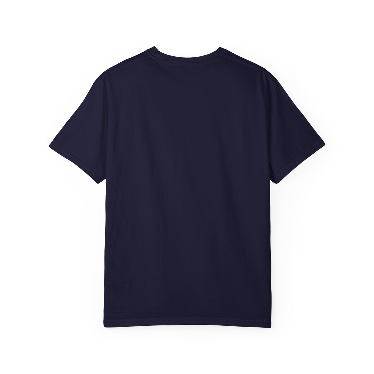 Pray to the Tool Gods Premium Tee