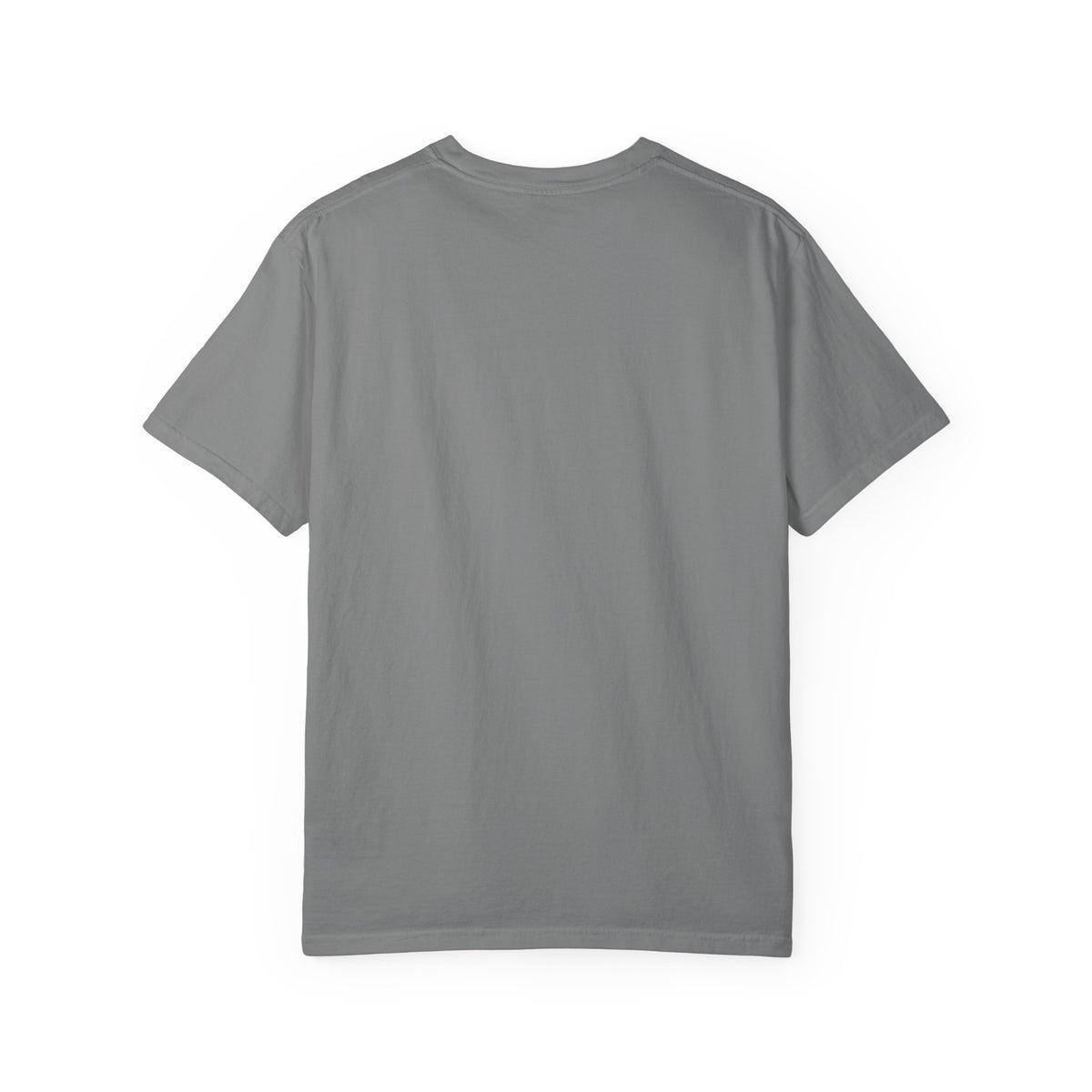 Pray to the Tool Gods Premium Tee